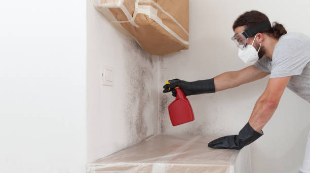 Professional Hvac And Air Duct Mold Remediation technician working in Rochelle Park, NJ